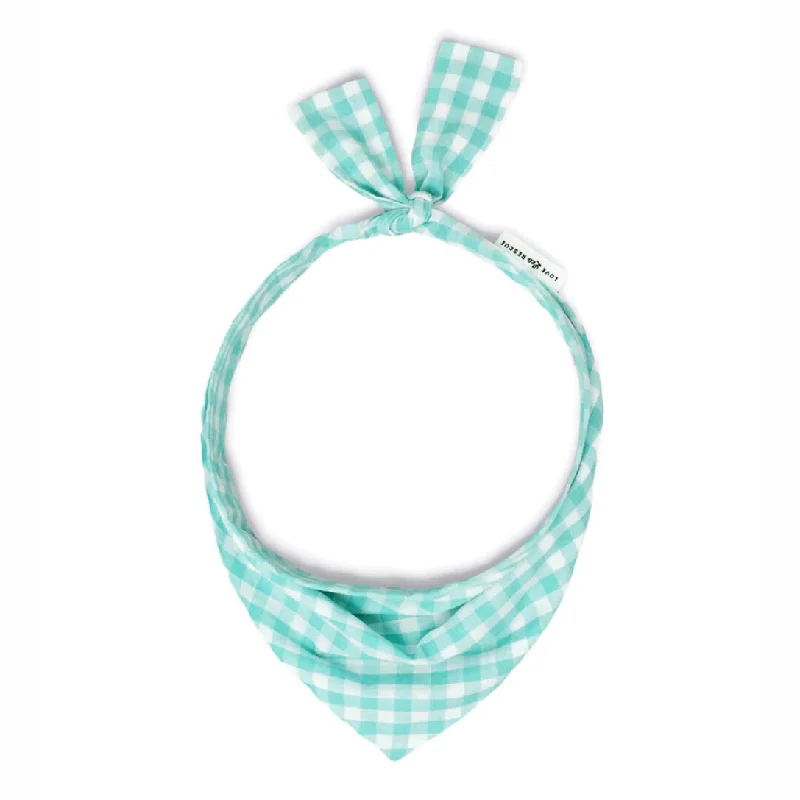 Dog Neckwear Love Leo Gingham