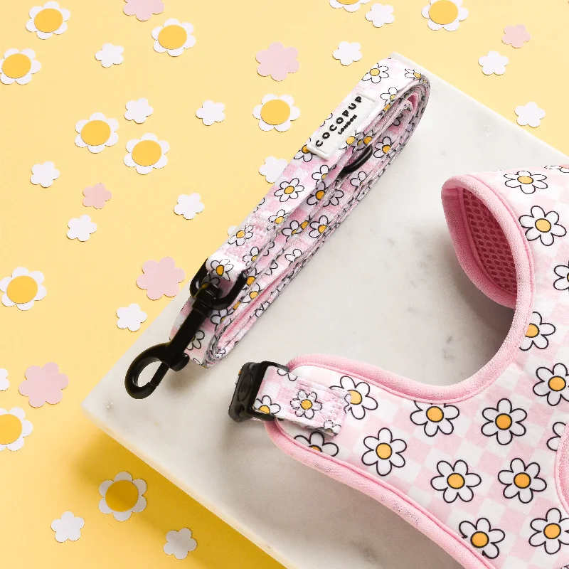 Daisy Gingham Rave Lead