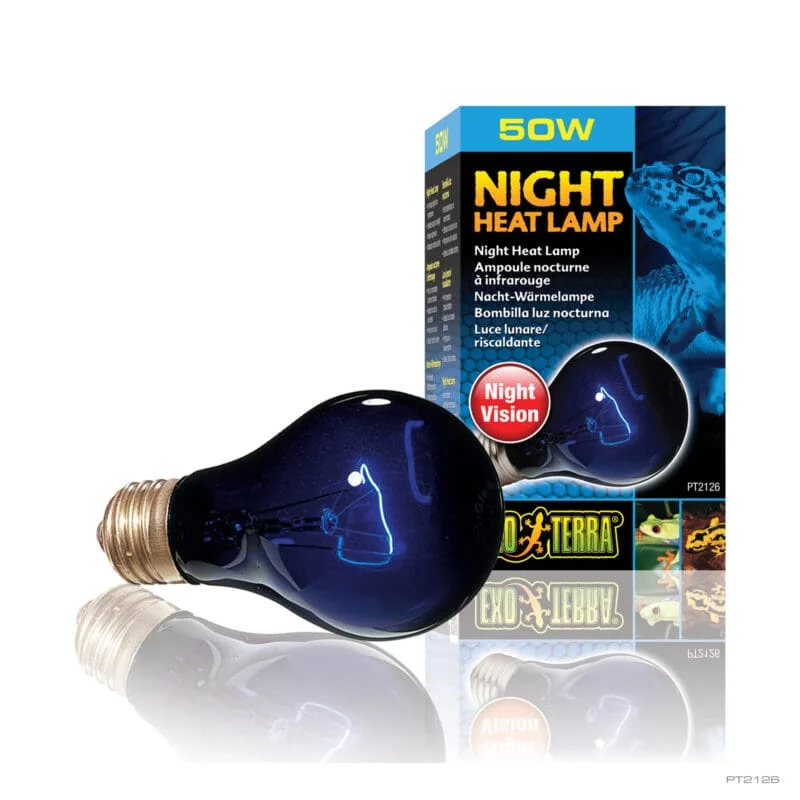 Exo Terra Night Glo Bulb 50w