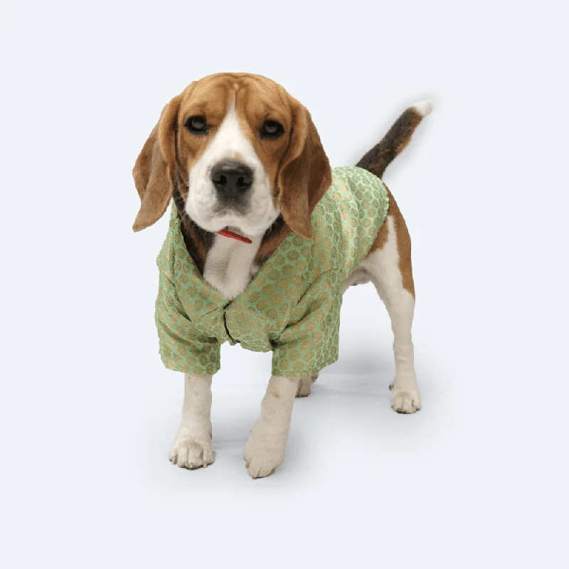 Pawgypets Occasion Wear Shirt for Dogs and Cats (Pista Green)